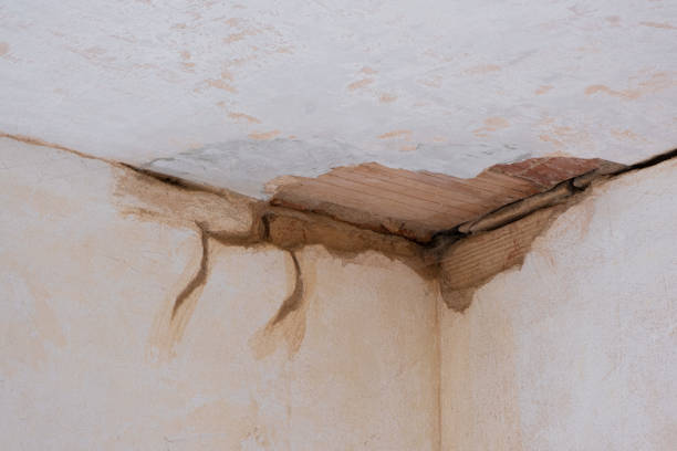 Best Water damage restoration services  in Glen Rock, PA
