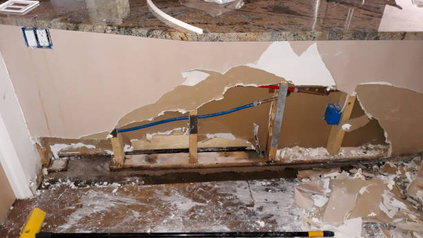 Best Professional water damage repair  in Glen Rock, PA