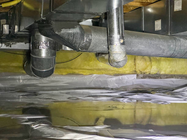 Best Mold removal after water damage  in Glen Rock, PA