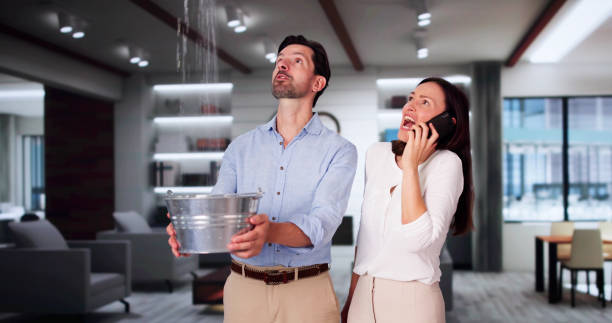 Best Flooded house restoration  in Glen Rock, PA