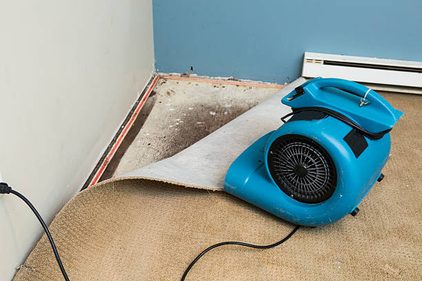 Best Water damage restoration near me  in Glen Rock, PA